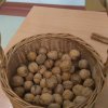ergoterapia z uzyciem orzechow wloskich 019